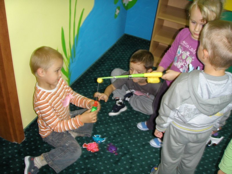 p9164631
