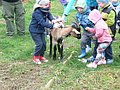 P1210480.JPG