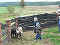 P1210483.JPG