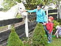 P1210537.JPG