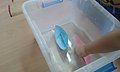 20151113_122110.jpg