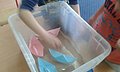 20151113_122202.jpg