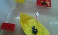 20151113_124517.jpg